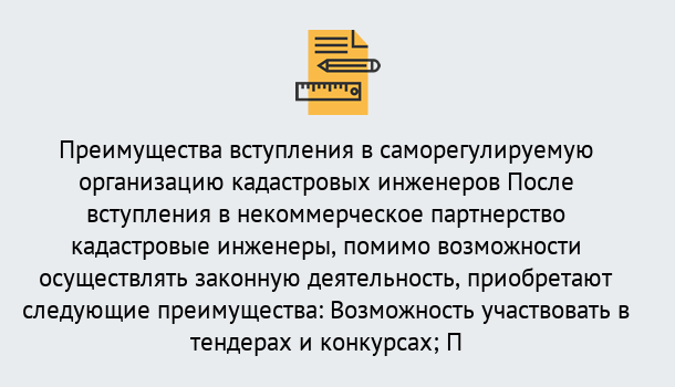 Почему нужно обратиться к нам? Выборг Что дает допуск СРО кадастровых инженеров?