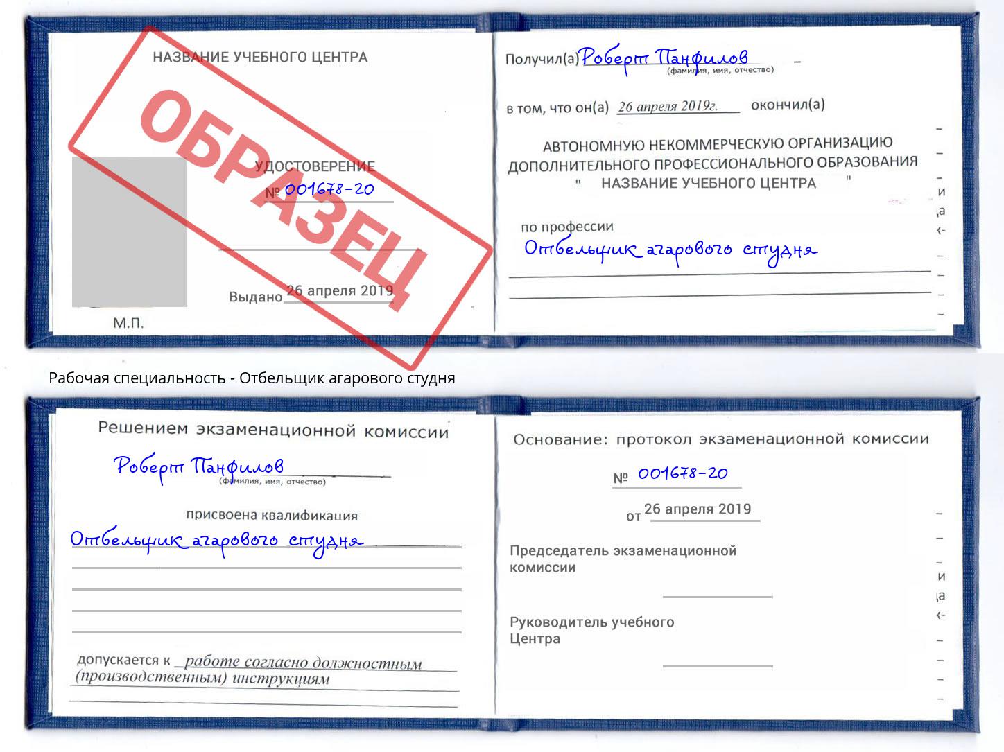 Отбельщик агарового студня Выборг