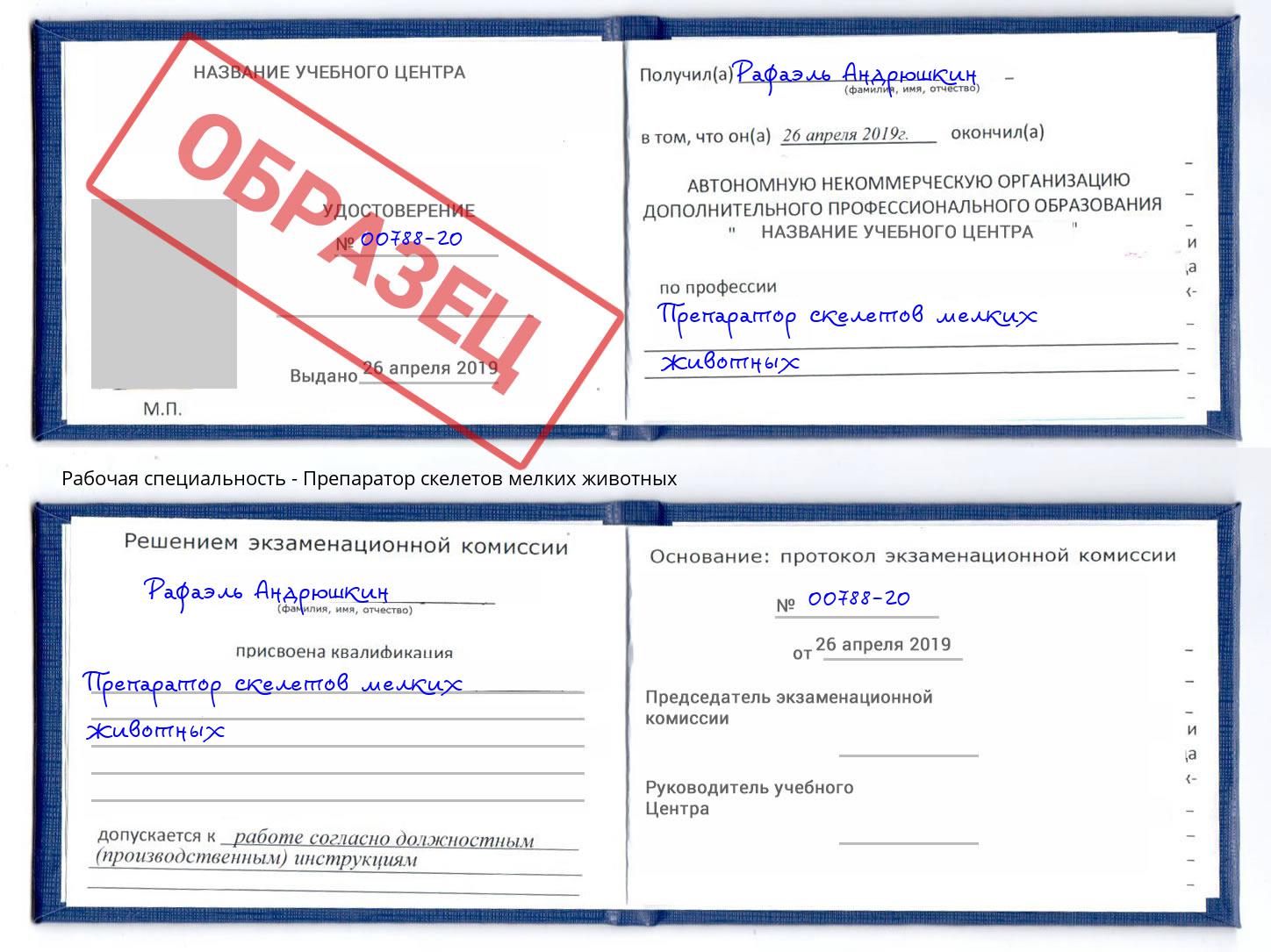 Препаратор скелетов мелких животных Выборг
