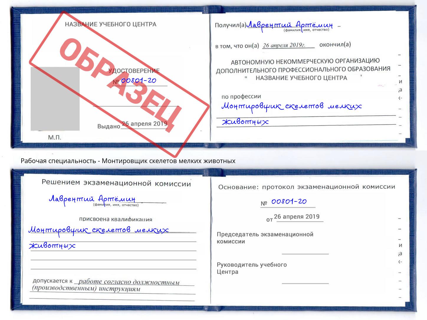 Монтировщик скелетов мелких животных Выборг