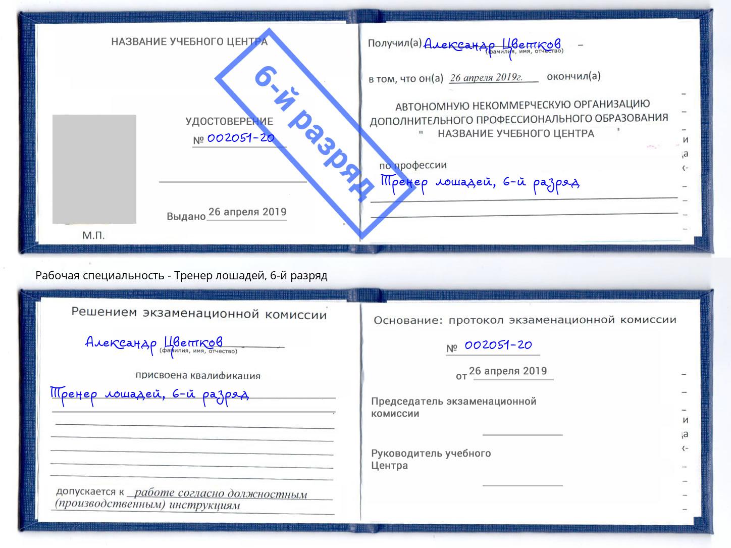 корочка 6-й разряд Тренер лошадей Выборг