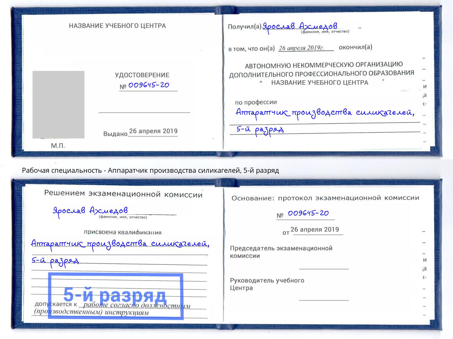 корочка 5-й разряд Аппаратчик производства силикагелей Выборг