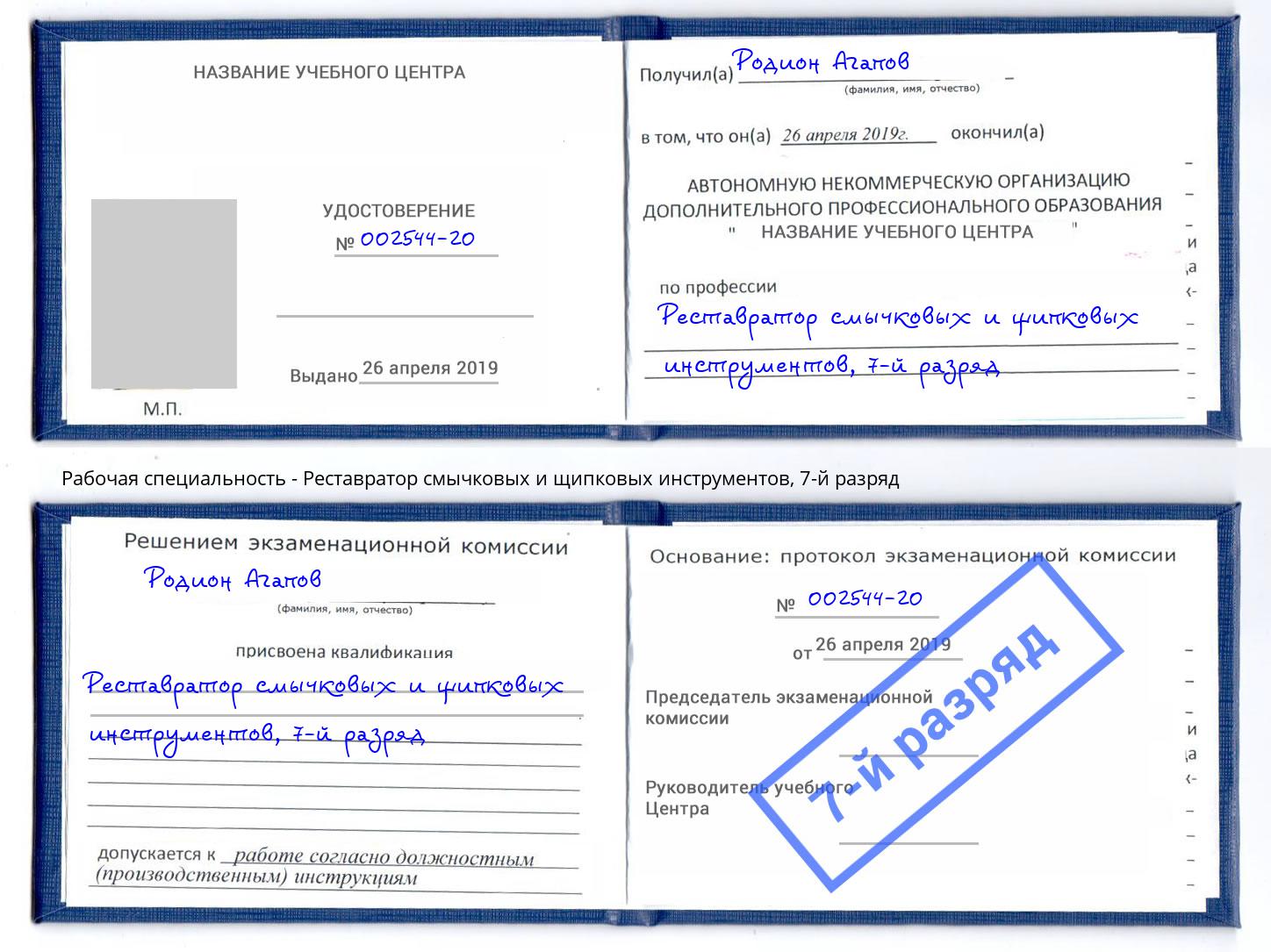 корочка 7-й разряд Реставратор смычковых и щипковых инструментов Выборг