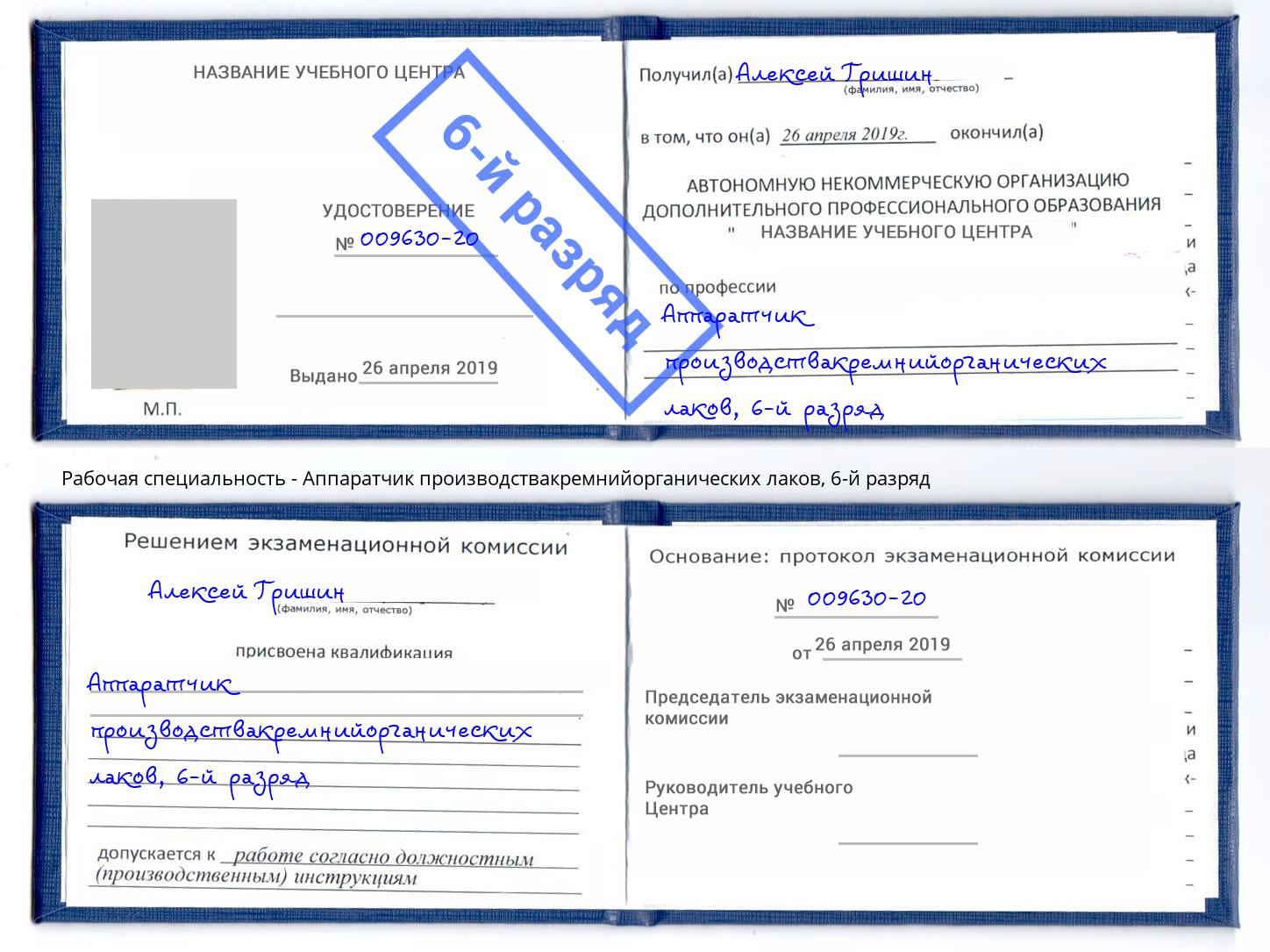 корочка 6-й разряд Аппаратчик производствакремнийорганических лаков Выборг