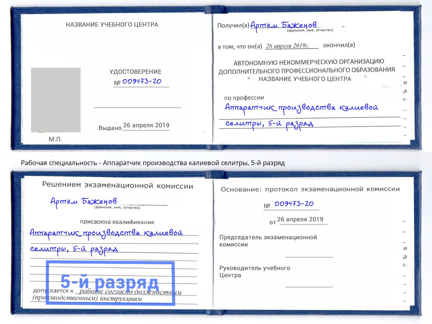 корочка 5-й разряд Аппаратчик производства калиевой селитры Выборг